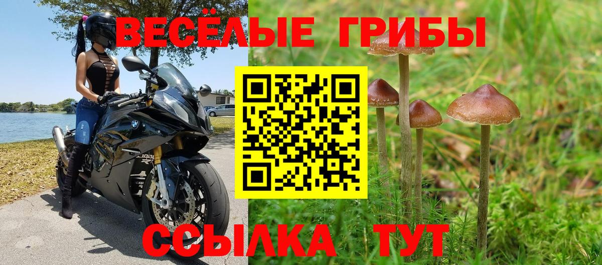 Галлюциногенные грибы мухоморы Учалы