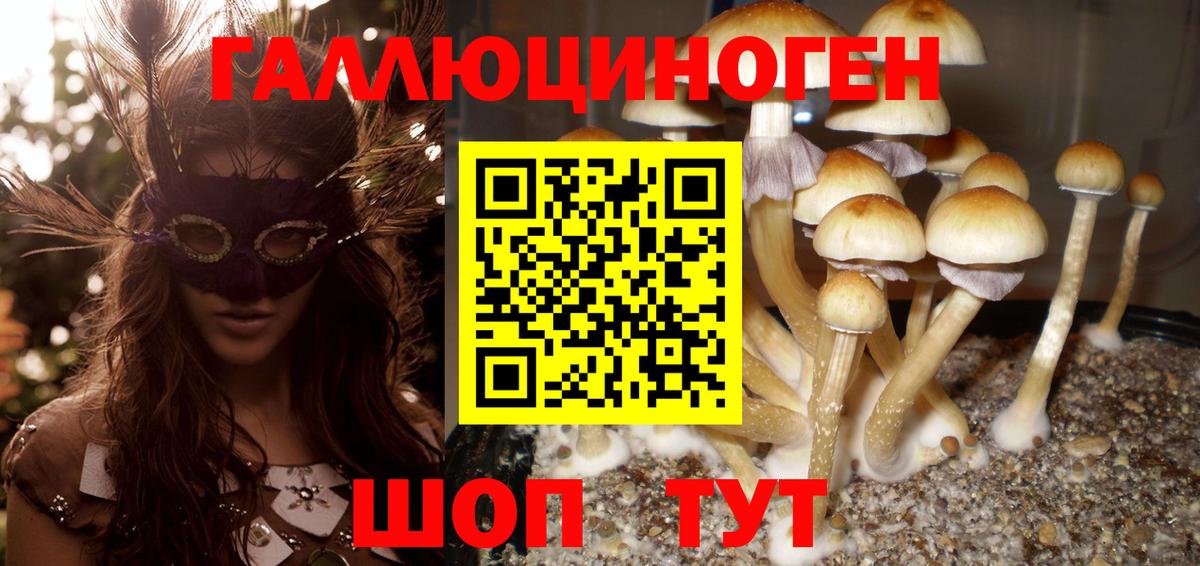что такое наркотик  Псилоцибиновые грибы Psilocybine cubensis  Вход с VPN  Галлюциногенные грибы мухоморы  Учалы 